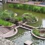Compressed_pools_in_july