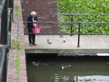 Feed the Ducks at Barbican