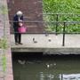 Compressed_feeding_the_ducks