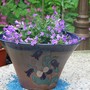 A garden flower photo