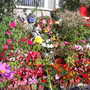 Pams_pics_152