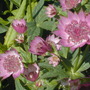 June08_009
