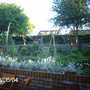 The Green Garden