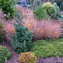 Foxhollow, Garden in Autumn