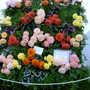 Shrewsbury flower show 2007 (Begonia)