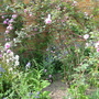 Mottisfont_abbey_for_goy_-_02