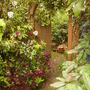 Pict0256