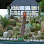 Shrewsbury flower show 2007