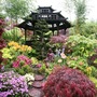Buddha and Pagoda - May