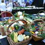 Shrewsbury flower show 2007