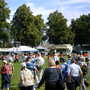 Shrewsbury flower show 2007