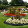 Shrewsbury flower show 2007