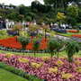 Shrewsbury flower show 2007