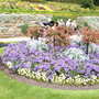Shrewsbury flower show 2007