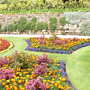 Shrewsbury flower show 2007
