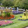 Shrewsbury flower show 2007