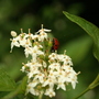 IMG_1615.jpg