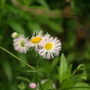 IMG_1616.jpg