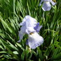 Dscn1742