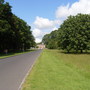 phoenix park dublin