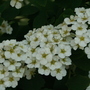 IMG_1626.jpg