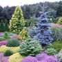 Garden_view__3