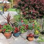 Pots