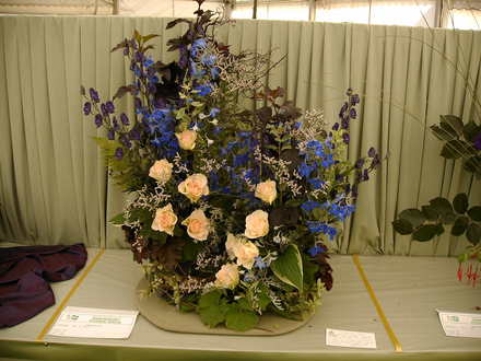Shrewsbury flower show 2007