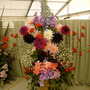 Imag0043