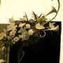 Imag0044