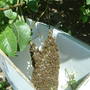 collecting the swarm