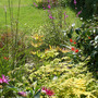 My Garden