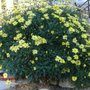 Dscf1031