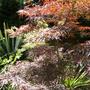 09_june_028