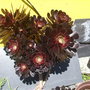 Dscf1428