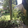 09062008147.jpg