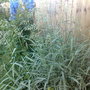 10062008163.jpg