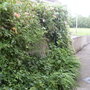 side of house