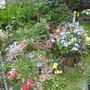 flower bed  