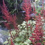 Friends garden