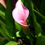 20080614_61
