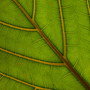 20080614_03
