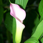June08_056
