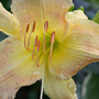 June08_060