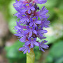 June08_078