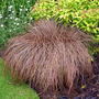 Image0002