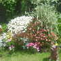 Summer 08