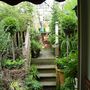 Latest_garden_views_july_2007