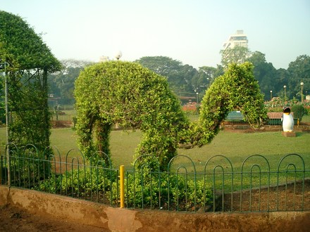 Topiary in Hanging Gardens
