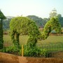 Topiary in Hanging Gardens